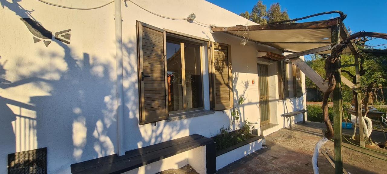 Cosy Home With Private Parking By The Sea Синискола Екстериор снимка